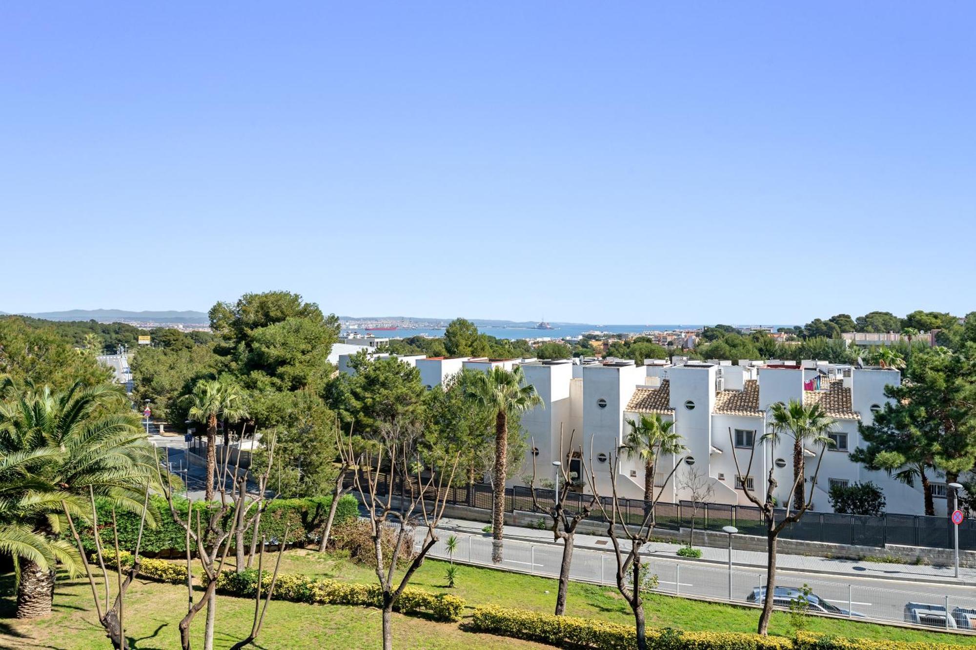 Apartamento Martin Y Rose En 萨洛 外观 照片